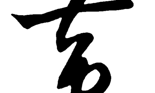 贯众炭的禁忌事项-【贯众炭别名叫什么】贯众炭的功效 - 贯众炭副作用网